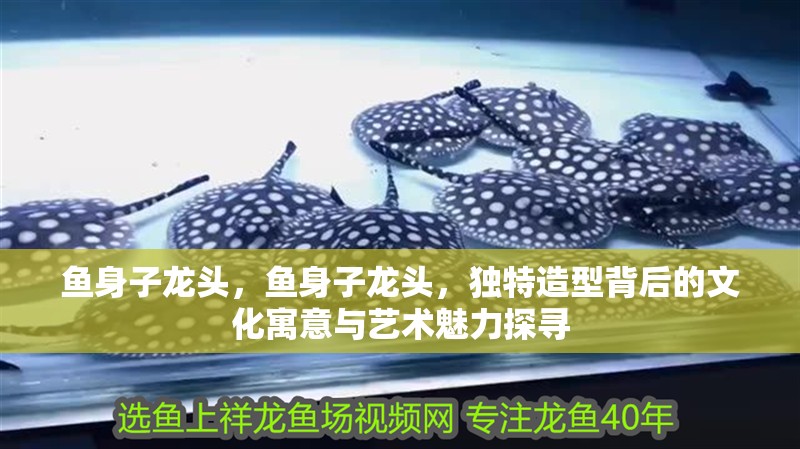 魚身子龍頭,魚身子龍頭,獨特造型背后的文化寓意與藝術魅力探尋 龍魚百科 第2張 魚身子龍頭,魚身子龍頭,獨特造型背后的文化寓意與藝術魅力探尋 魚身子龍頭,魚身子龍頭,獨特造型背后的文化寓意與藝術魅力探尋 龍魚百科 第2張