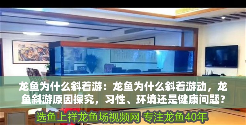 龍魚為什么斜著游：龍魚為什么斜著游動，龍魚斜游原因探究，習性、環境還是健康問題？