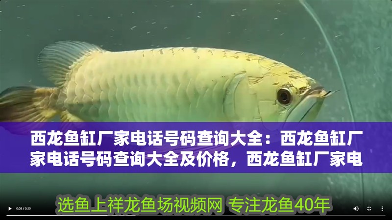 西龍魚缸廠家電話號碼查詢大全：西龍魚缸廠家電話號碼查詢大全及價格，西龍魚缸廠家電話及價格查詢全