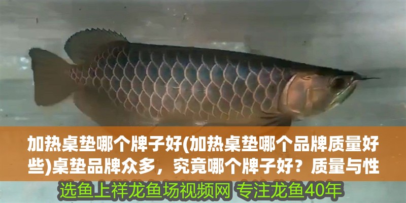 加熱桌墊哪個牌子好(加熱桌墊哪個品牌質量好些)桌墊品牌眾多，究竟哪個牌子好？質量與性價比兼具的品牌推薦