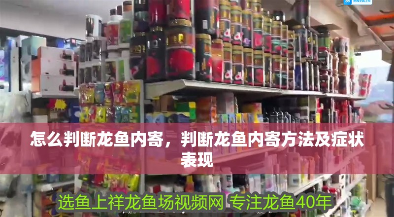 怎么判斷龍魚內寄，判斷龍魚內寄方法及癥狀表現