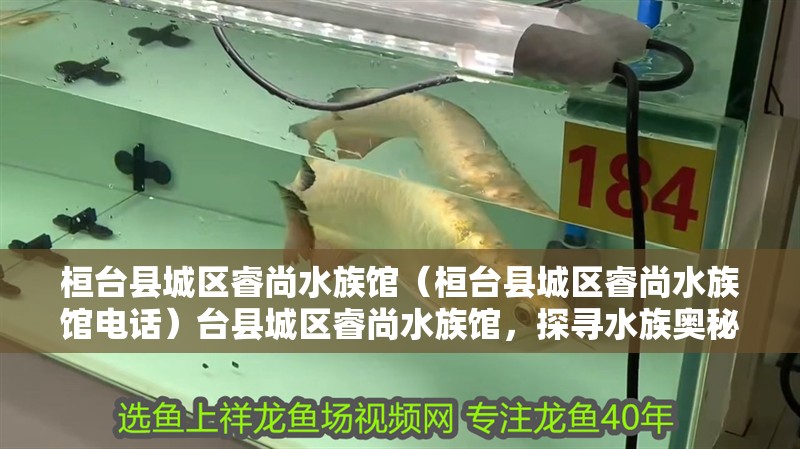 桓臺縣城區睿尚水族館(桓臺縣城區睿尚水族館電話)臺縣城區睿尚水族館,探尋水族奧秘,暢享海洋之美(附 全國水族館企業名錄 第2張 桓臺縣城區睿尚水族館(桓臺縣城區睿尚水族館電話)臺縣城區睿尚水族館,探尋水族奧秘,暢享海洋之美(附 桓臺縣城區睿尚水族館(桓臺縣城區睿尚水族館電話)臺縣城區睿尚水族館,探尋水族奧秘,暢享海洋之美(附 全國水族館企業名錄 第2張