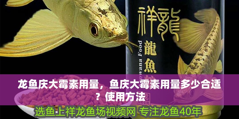 龍魚慶大霉素用量，魚慶大霉素用量多少合適？使用方法