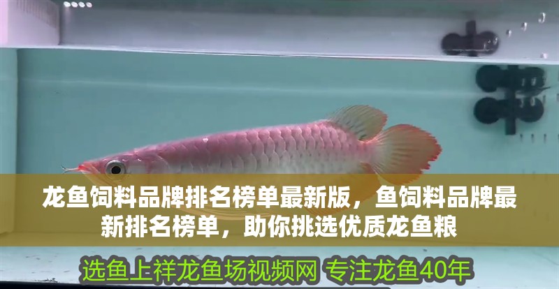 龍魚飼料品牌排名榜單最新版，魚飼料品牌最新排名榜單，助你挑選優質龍魚糧