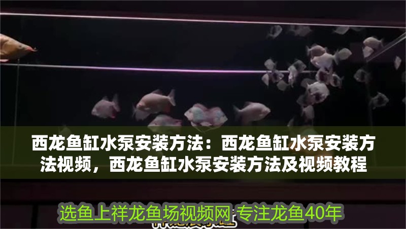 大型原生態(tài)魚缸造景：原生態(tài)魚缸造景材料的選擇步驟對(duì)于造景和養(yǎng)魚至關(guān)重要，大型原生態(tài)魚缸造景，材料選擇步驟，關(guān)乎造景