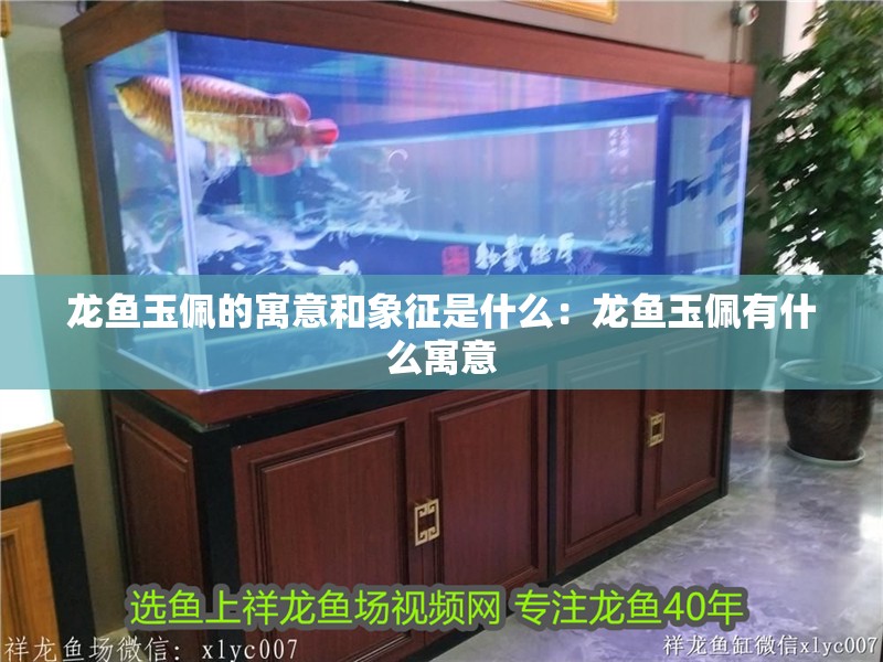 龍魚玉佩的寓意和象征是什么：龍魚玉佩有什么寓意 龍魚玉佩的寓意和象征是什么：龍魚玉佩有什么寓意 龍魚百科