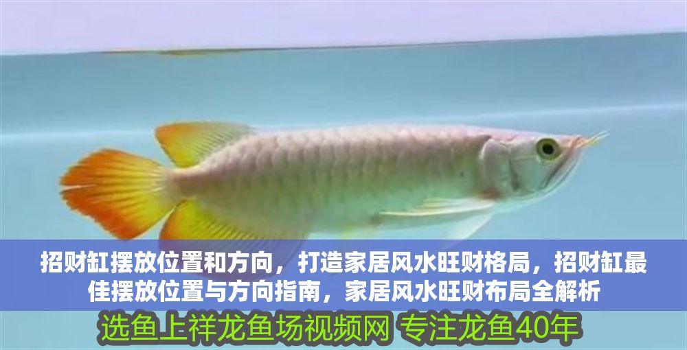 招財(cái)缸擺放位置和方向，打造家居風(fēng)水旺財(cái)格局，招財(cái)缸最佳擺放位置與方向指南，家居風(fēng)水旺財(cái)布局全解析