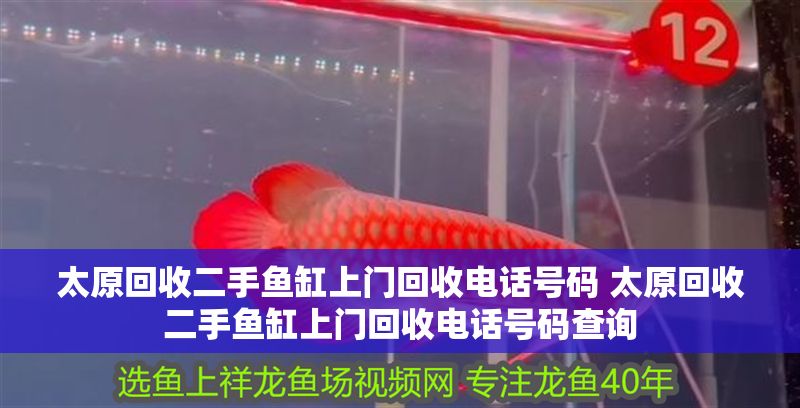 太原回收二手魚缸上門回收電話號碼 太原回收二手魚缸上門回收電話號碼查詢