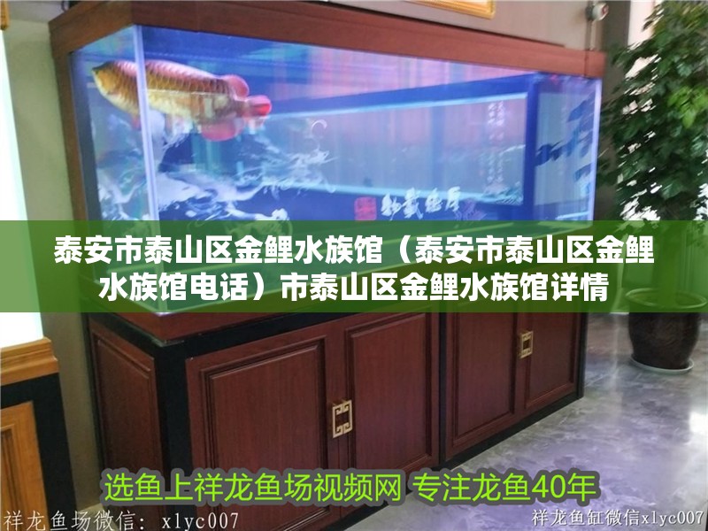 泰安市泰山區(qū)金鯉水族館（泰安市泰山區(qū)金鯉水族館電話）市泰山區(qū)金鯉水族館詳情