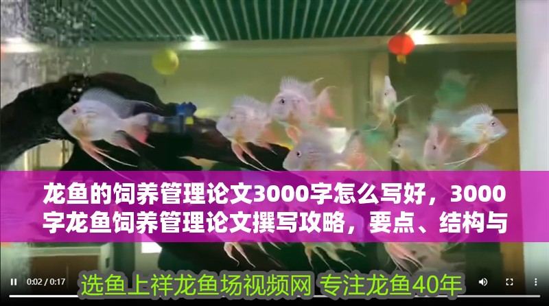 龍魚的飼養管理論文3000字怎么寫好，3000字龍魚飼養管理論文撰寫攻略，要點、結構與技巧全解析