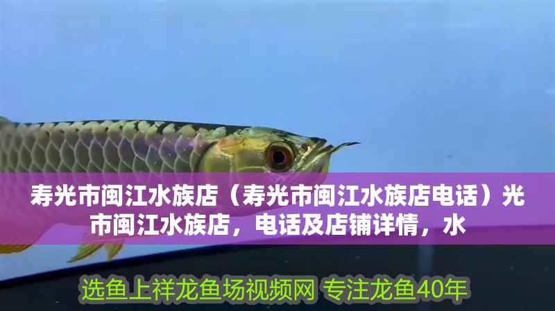 壽光市閩江水族店（壽光市閩江水族店電話）光市閩江水族店，電話及店鋪詳情，水