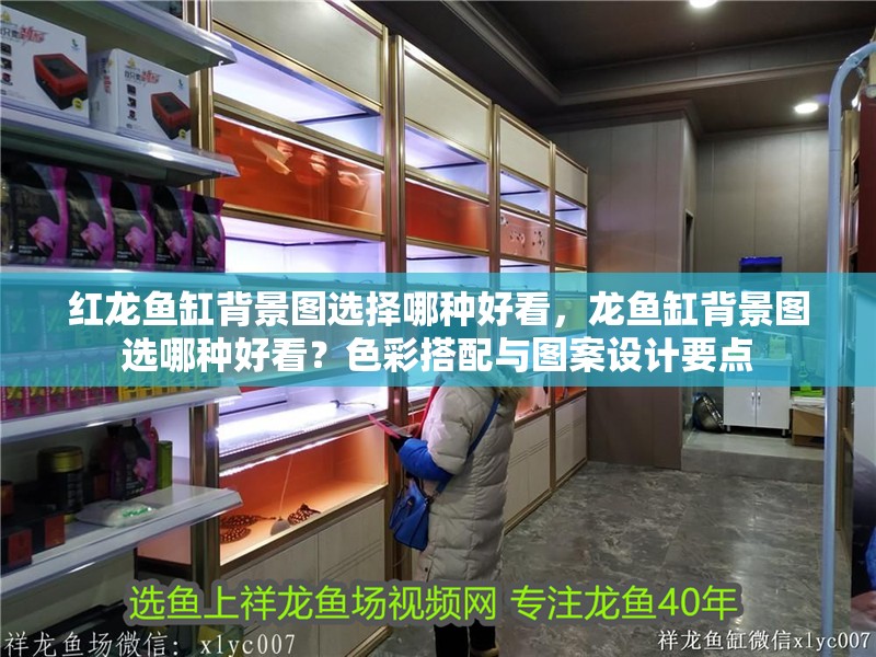 紅龍魚缸背景圖選擇哪種好看，龍魚缸背景圖選哪種好看？色彩搭配與圖案設計要點