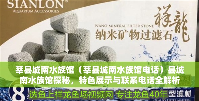 莘縣城南水族館（莘縣城南水族館電話）縣城南水族館探秘，特色展示與聯系電話全解析