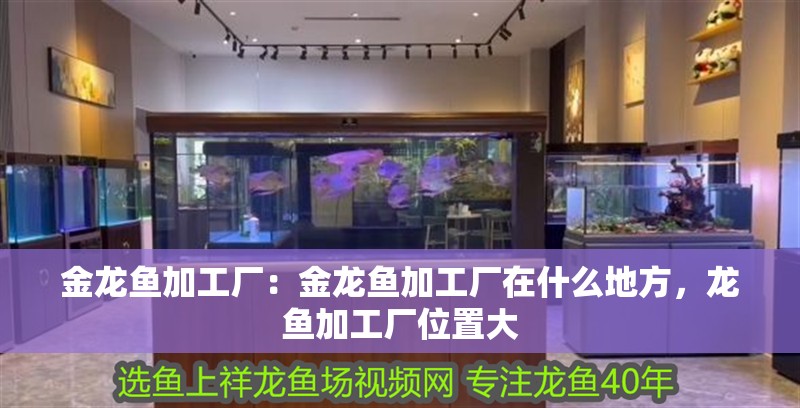 金龍魚加工廠：金龍魚加工廠在什么地方，龍魚加工廠位置大