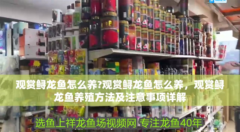 觀賞鱘龍魚(yú)怎么養(yǎng)?觀賞鱘龍魚(yú)怎么養(yǎng)，觀賞鱘龍魚(yú)養(yǎng)殖方法及注意事項(xiàng)詳解