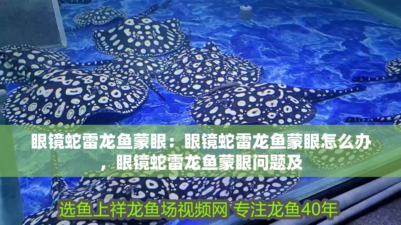 眼鏡蛇雷龍魚蒙眼：眼鏡蛇雷龍魚蒙眼怎么辦，眼鏡蛇雷龍魚蒙眼問題及