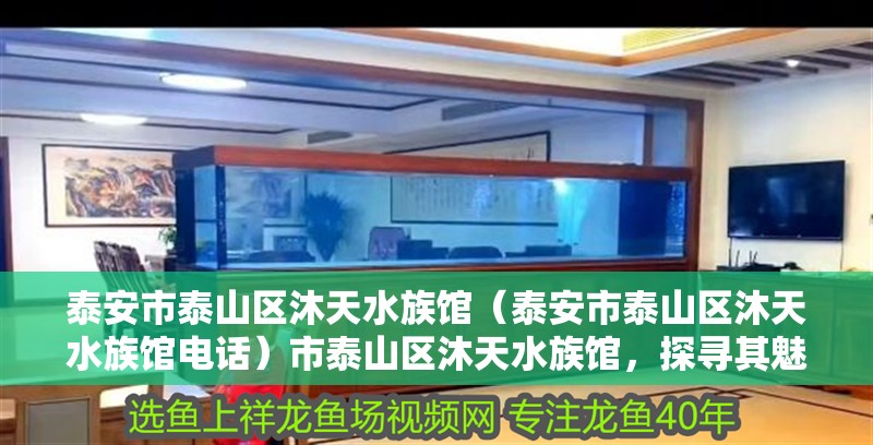 泰安市泰山區沐天水族館（泰安市泰山區沐天水族館電話）市泰山區沐天水族館，探尋其魅力及聯系電話詳情