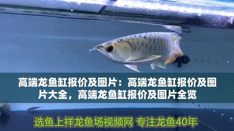 高端龍魚缸報價及圖片：高端龍魚缸報價及圖片大全，高端龍魚缸報價及圖片全覽
