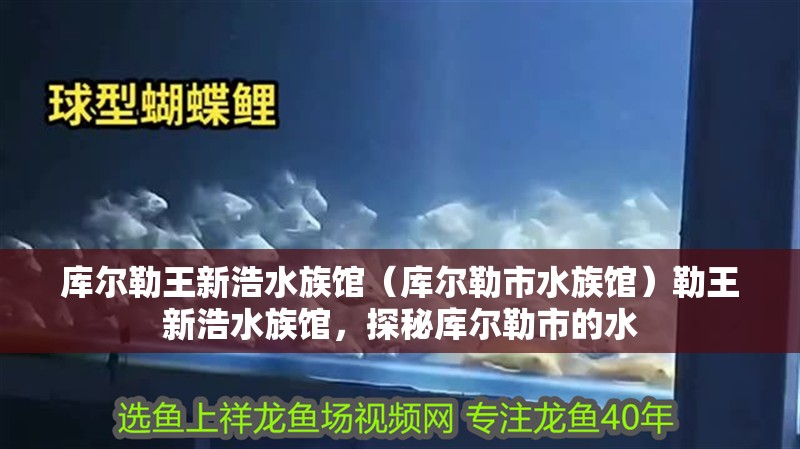 庫爾勒王新浩水族館（庫爾勒市水族館）勒王新浩水族館，探秘庫爾勒市的水