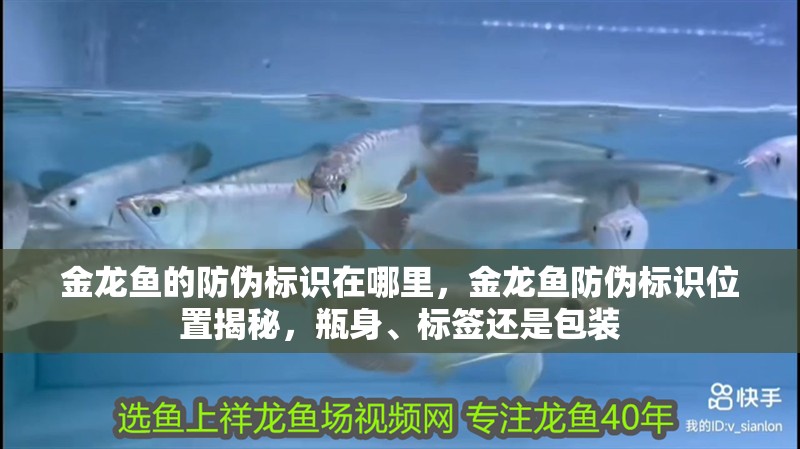 金龍魚的防偽標識在哪里，金龍魚防偽標識位置揭秘，瓶身、標簽還是包裝