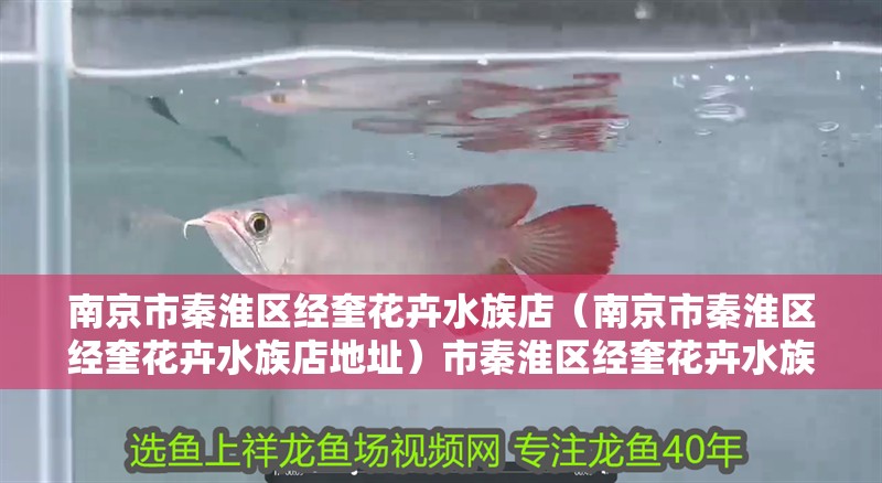 南京市秦淮區經奎花卉水族店（南京市秦淮區經奎花卉水族店地址）市秦淮區經奎花卉水族店地址及特色服務介紹