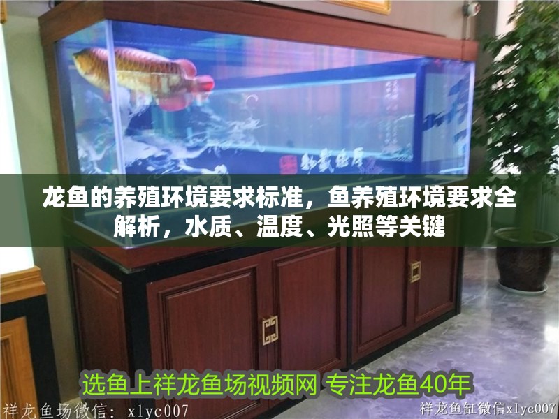 龍魚的養殖環境要求標準，魚養殖環境要求全解析，水質、溫度、光照等關鍵