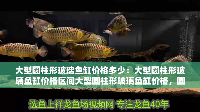大型圓柱形玻璃魚缸價格多少：大型圓柱形玻璃魚缸價格區間大型圓柱形玻璃魚缸價格，圓柱形玻璃魚缸價格大揭秘，區間