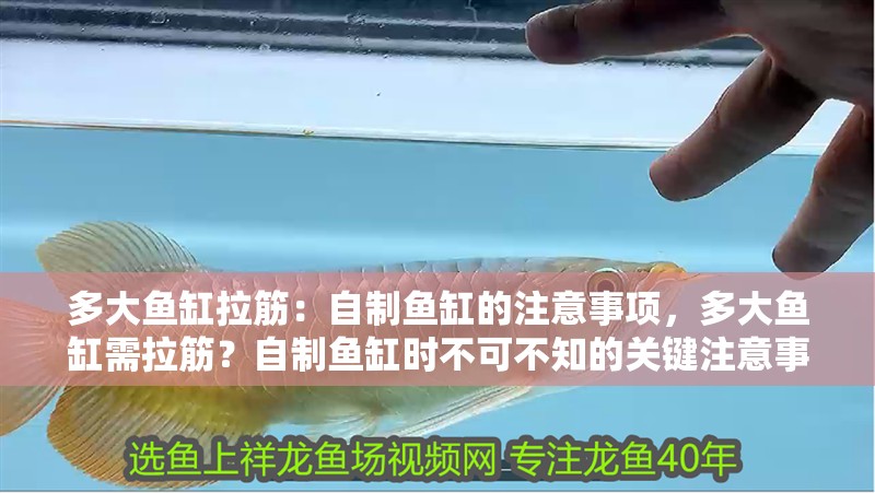 多大魚缸拉筋：自制魚缸的注意事項，多大魚缸需拉筋？自制魚缸時不可不知的關鍵注意事項詳解