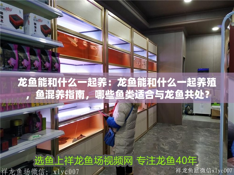 龍魚能和什么一起養(yǎng)：龍魚能和什么一起養(yǎng)殖，魚混養(yǎng)指南，哪些魚類適合與龍魚共處？