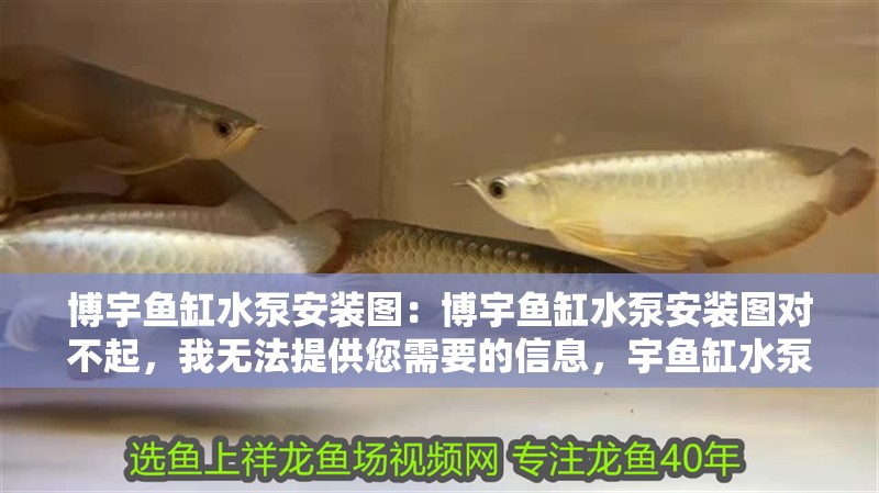 博宇魚缸水泵安裝圖：博宇魚缸水泵安裝圖對不起，我無法提供您需要的信息，宇魚缸水泵安裝圖，使用方法、注意事項 博宇魚缸水泵安裝圖：博宇魚缸水泵安裝圖對不起，我無法提供您需要的信息，宇魚缸水泵安裝圖，使用方法、注意事項 魚缸百科
