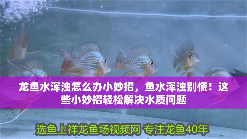 龍魚水渾濁怎么辦小妙招，魚水渾濁別慌！這些小妙招輕松解決水質問題 龍魚水渾濁怎么辦小妙招，魚水渾濁別慌！這些小妙招輕松解決水質問題 龍魚百科 第2張