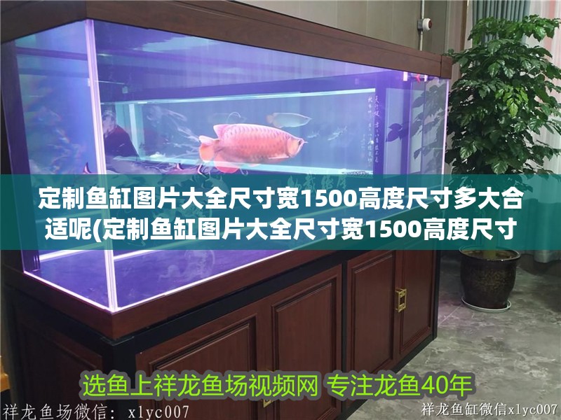 定制魚缸圖片大全尺寸寬1500高度尺寸多大合適呢(定制魚缸圖片大全尺寸寬1500高度尺寸多大合適呢視頻)1500定制魚缸圖片大全，高度尺寸多少合適？視頻