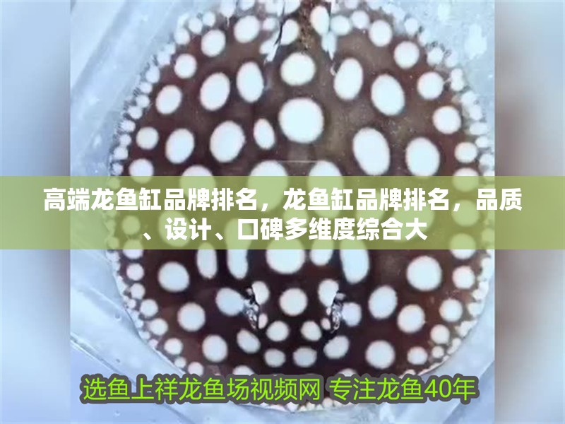 高端龍魚缸品牌排名，龍魚缸品牌排名，品質(zhì)、設(shè)計、口碑多維度綜合大