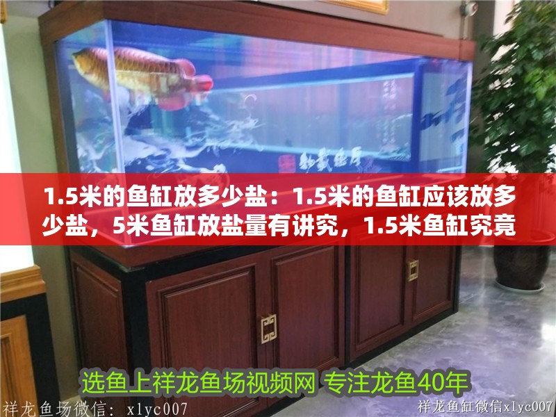1.5米的魚缸放多少鹽：1.5米的魚缸應該放多少鹽，5米魚缸放鹽量有講究，1.5米魚缸究竟該放多少鹽