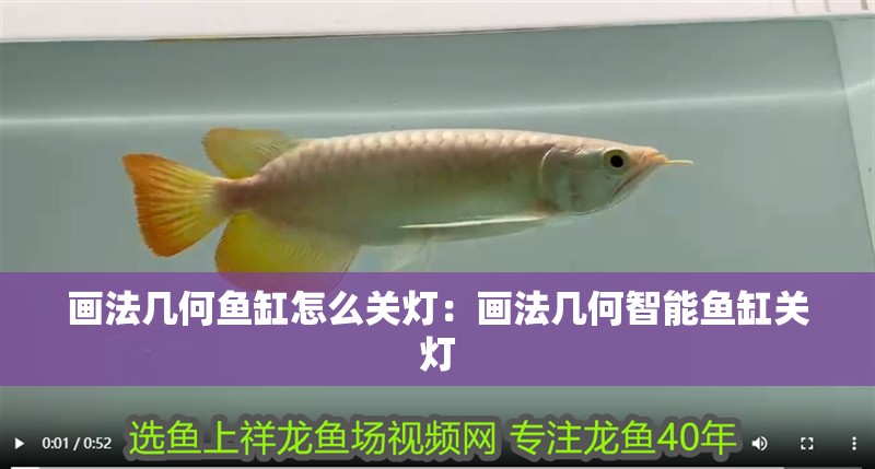 畫法幾何魚缸怎么關(guān)燈：畫法幾何智能魚缸關(guān)燈