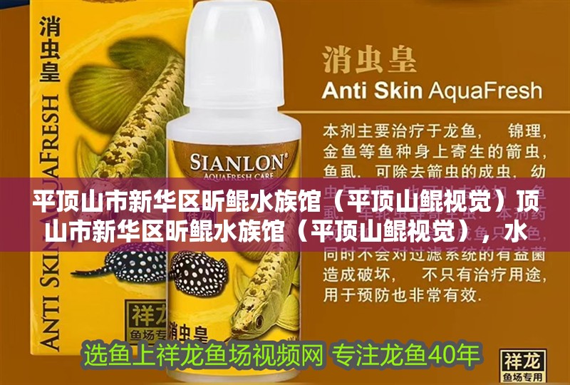 平頂山市新華區昕鯤水族館（平頂山鯤視覺）頂山市新華區昕鯤水族館（平頂山鯤視覺），水族
