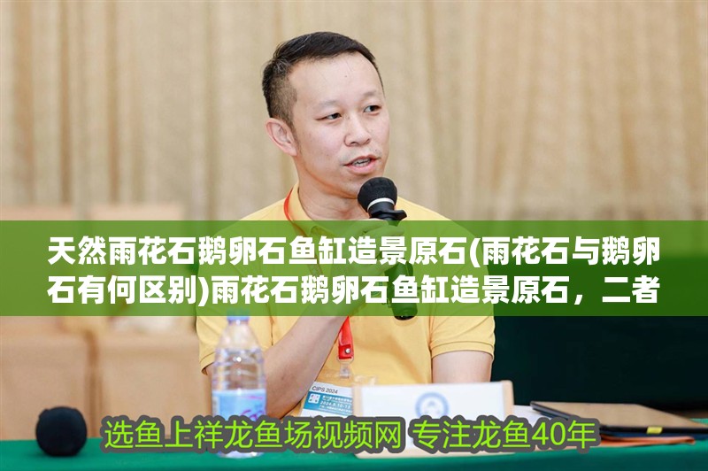 天然雨花石鵝卵石魚缸造景原石(雨花石與鵝卵石有何區別)雨花石鵝卵石魚缸造景原石，二者區別