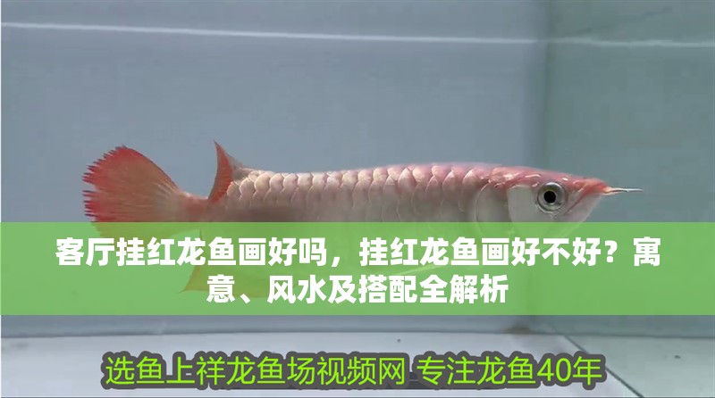 客廳掛紅龍魚畫好嗎，掛紅龍魚畫好不好？寓意、風水及搭配全解析