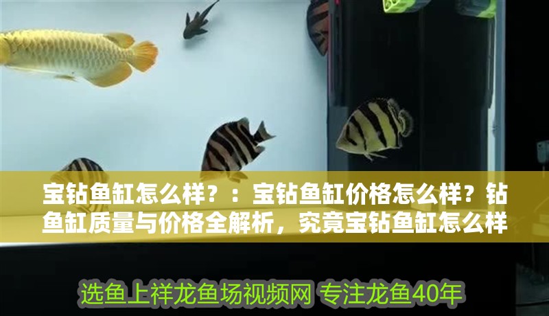 寶鉆魚缸怎么樣？：寶鉆魚缸價格怎么樣？鉆魚缸質量與價格全解析，究竟寶鉆魚缸怎么樣？