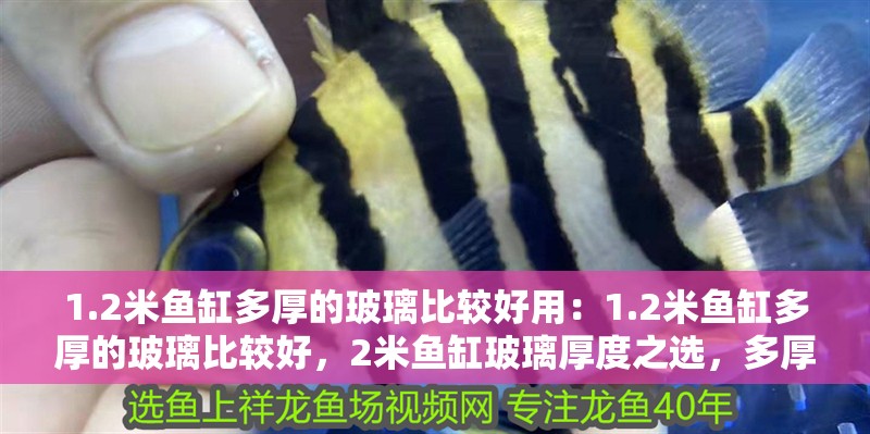 1.2米魚缸多厚的玻璃比較好用：1.2米魚缸多厚的玻璃比較好，2米魚缸玻璃厚度之選，多厚才實用好用