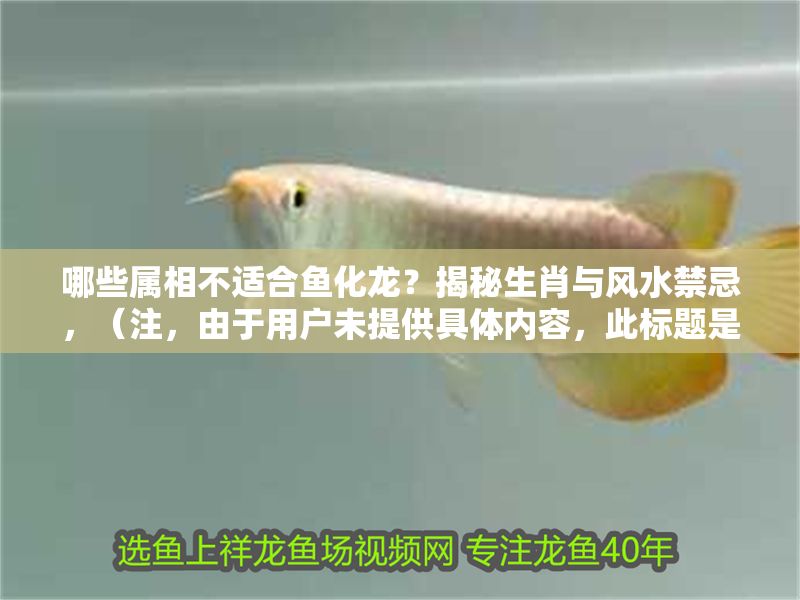 哪些屬相不適合魚化龍？揭秘生肖與風水禁忌，（注，由于用戶未提供具體內(nèi)容，此標題是基于常見風水話題生成的示例。若用戶補充內(nèi)容，可生成更精準的標題。）