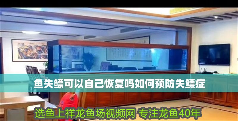 魚失鰾可以自己恢復嗎如何預防失鰾癥