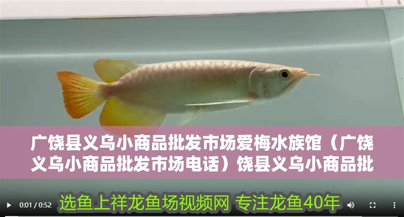 廣饒縣義烏小商品批發市場愛梅水族館（廣饒義烏小商品批發市場電話）饒縣義烏小商品批發市場愛梅水族館，聯系方式及