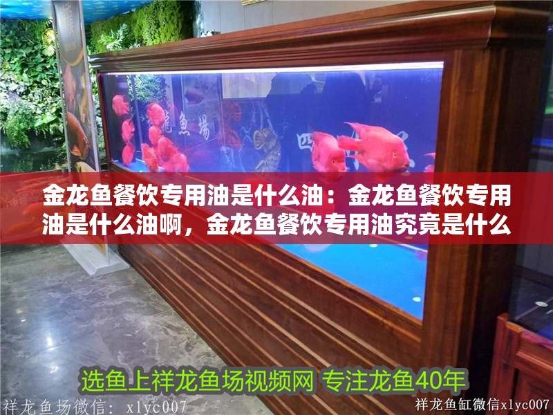 金龍魚餐飲專用油是什么油：金龍魚餐飲專用油是什么油啊，金龍魚餐飲專用油究竟是什么油？ 金龍魚餐飲專用油是什么油：金龍魚餐飲專用油是什么油啊，金龍魚餐飲專用油究竟是什么油？ 水族問答