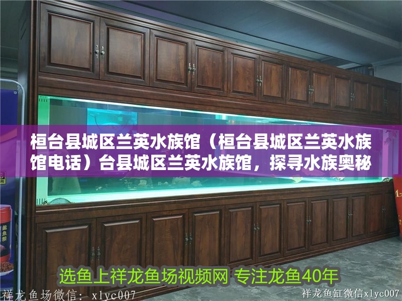 桓臺縣城區蘭英水族館（桓臺縣城區蘭英水族館電話）臺縣城區蘭英水族館，探尋水族奧秘，暢享水族世界的奇妙
