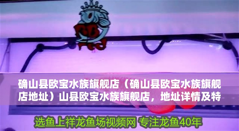 確山縣歐寶水族旗艦店（確山縣歐寶水族旗艦店地址）山縣歐寶水族旗艦店，地址詳情及特色水族產品