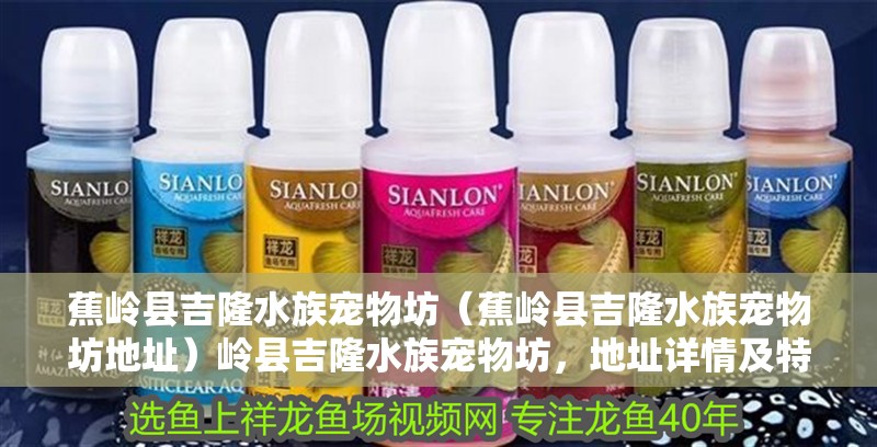 蕉嶺縣吉隆水族寵物坊（蕉嶺縣吉隆水族寵物坊地址）嶺縣吉隆水族寵物坊，地址詳情及特色水