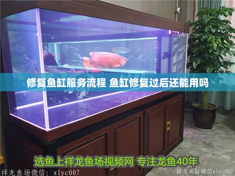 修復魚缸服務流程 魚缸修復過后還能用嗎