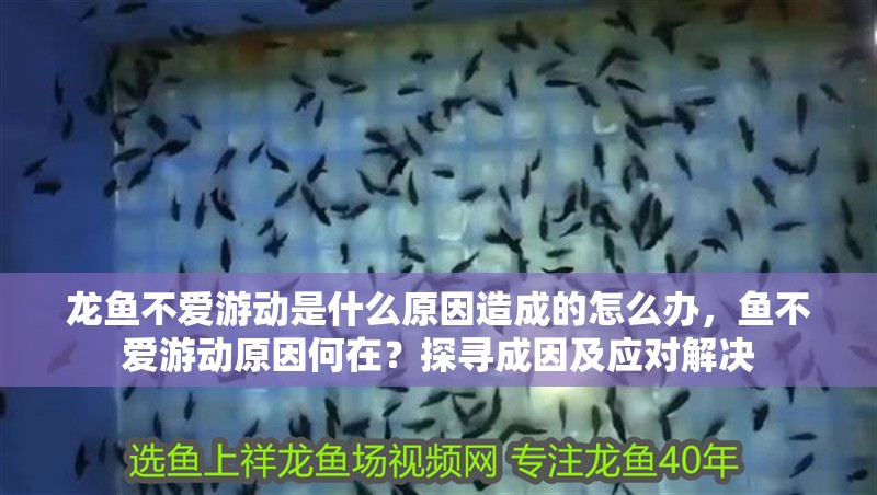 龍魚不愛游動是什么原因造成的怎么辦，魚不愛游動原因何在？探尋成因及應對解決 龍魚不愛游動是什么原因造成的怎么辦，魚不愛游動原因何在？探尋成因及應對解決 龍魚百科 第2張