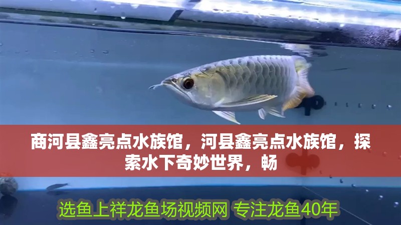 商河縣鑫亮點水族館，河縣鑫亮點水族館，探索水下奇妙世界，暢 商河縣鑫亮點水族館，河縣鑫亮點水族館，探索水下奇妙世界，暢 全國水族館企業名錄 第2張